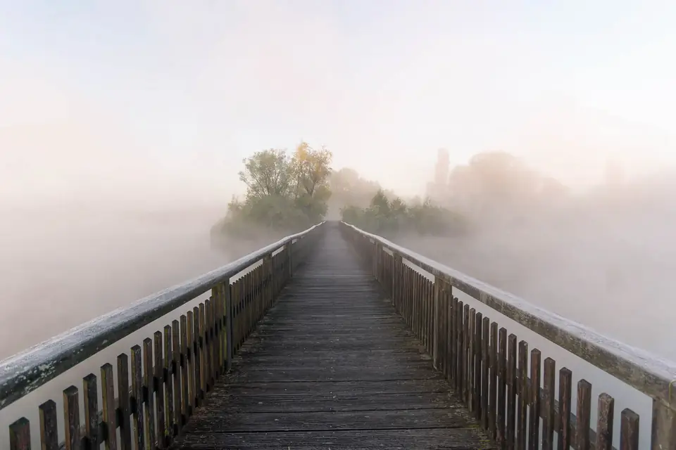 Holzbrücke mit Geländer führt in dichten Morgennebel, am Ende die Bäume der Vogelinsel