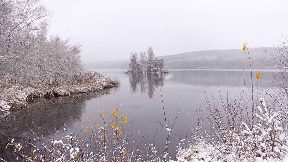 Verschneites Ufer des Igelsbachsees mit kleiner Insel im Winterdunst
