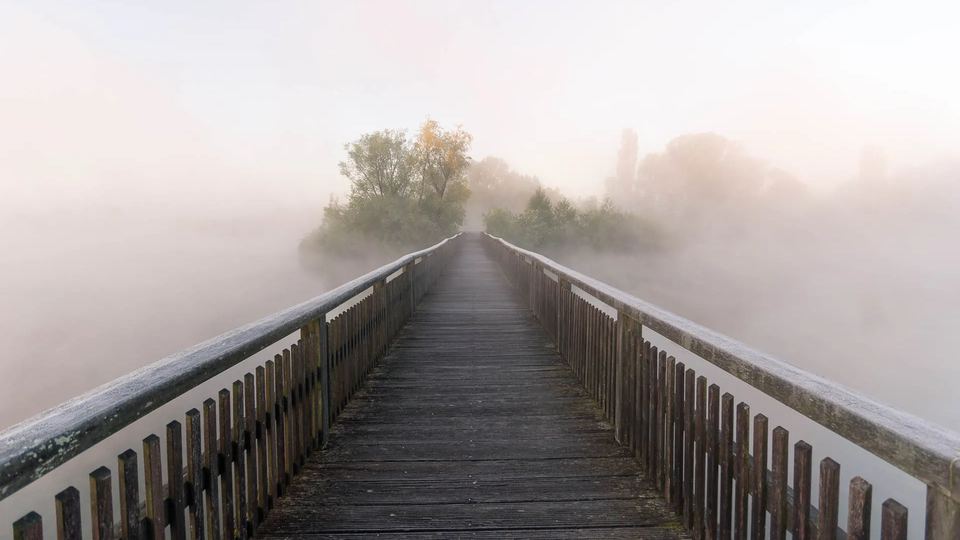 Holzbrücke zur Vogelinsel am Altmühlsee im Morgennebel