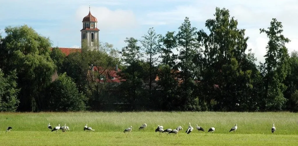 Kirchweih in Bechhofen (Quelle: Tourismusverband Fränkisches Seenland)