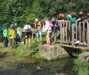 NAJU-Kinderzeltlager am Brombachsee (Quelle: Spalt Tourismus)
