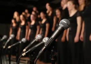 Sommerkonzert Liederkranz e.V. (Quelle: Spalt Tourismus)