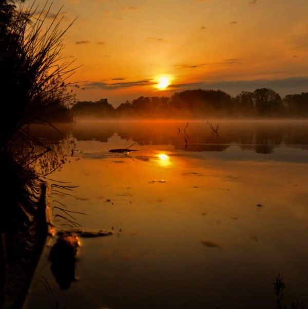 Sonnenaufgang mit Nebel am Rothsee