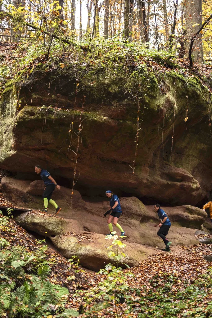4. Spalter "Freiheit" Hügelland Trailrun (Quelle: Zweckverband Brombachsee)