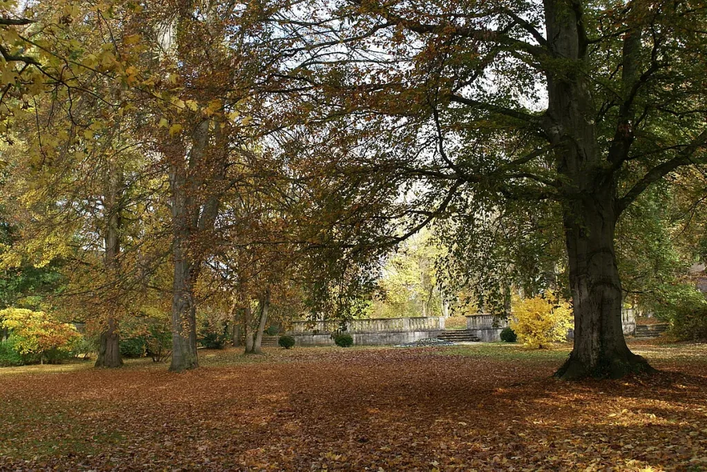 Herbstliches Farbenspiel im Schlosspark Ellingen (Quelle: Tourismusverband Fränkisches Seenland)