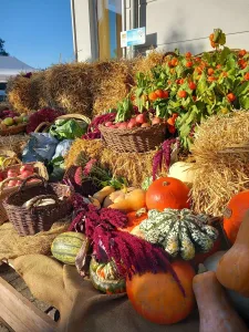 Kürbismarkt Büchenbach (Quelle: Tourismusverband Fränkisches Seenland)