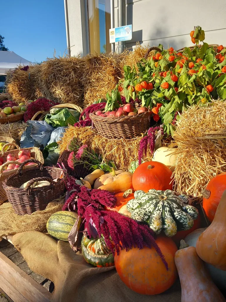 Kürbismarkt Büchenbach (Quelle: Tourismusverband Fränkisches Seenland)