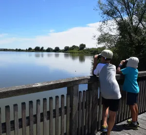 Kinderführungen auf der Vogelinsel (Quelle: Tourismusverband Fränkisches Seenland)