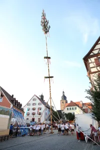 Merkendorfer Kirchweih (Quelle: Tourismusverband Fränkisches Seenland)