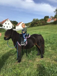 Ponyreiten bei Familie Schwab (Quelle: Tourismusverband Fränkisches Seenland)