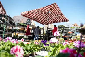 Rother Wochenmarkt (Quelle: Tourismusverband Fränkisches Seenland)