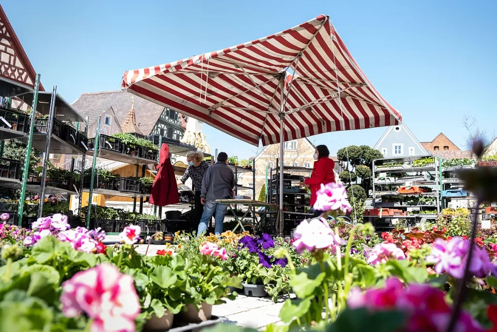Rother Wochenmarkt (Quelle: Tourismusverband Fränkisches Seenland)