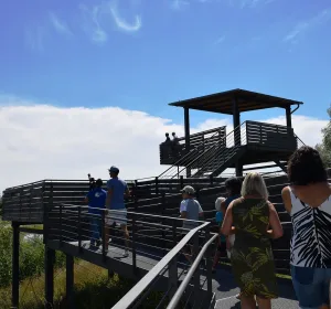 Treffpunkt Turm - Vogelkunde für Jedermann (Quelle: Tourismusverband Fränkisches Seenland)