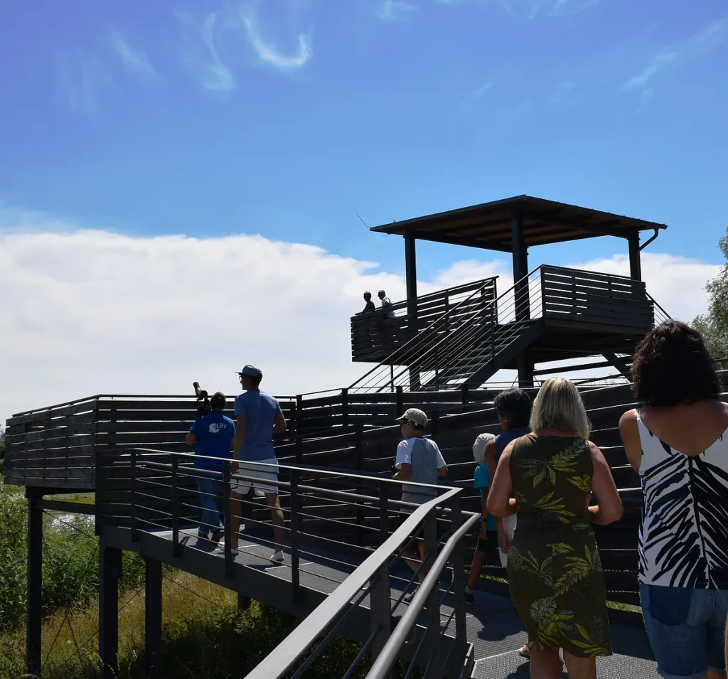 Treffpunkt Turm - Vogelkunde für Jedermann (Quelle: Tourismusverband Fränkisches Seenland)