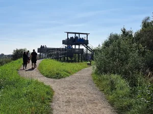 Vogelbeobachtungs-Tag (Birdwatch) (Quelle: Tourismusverband Fränkisches Seenland)
