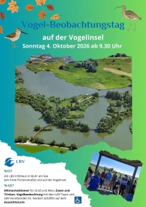 Vogelbeobachtungstag European Birdwatch (Quelle: Tourismusverband Fränkisches Seenland)