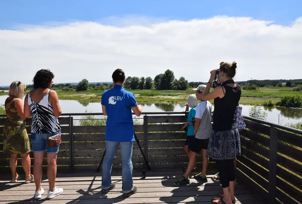 Vogelinsel-Führung des LBV (Quelle: Tourismusverband Fränkisches Seenland)