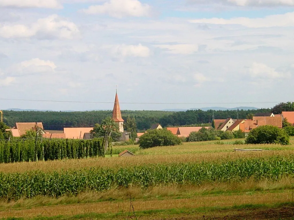 Wanderung durch die Hopfengärten nach Hauslach und Mosbach (Quelle: Tourismusverband Fränkisches Seenland)
