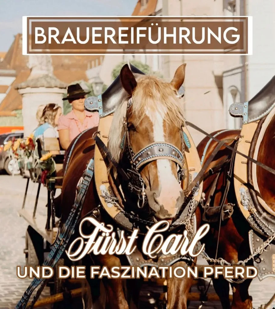 Themenbrauereiführung (Quelle: Tourismusverband Fränkisches Seenland)